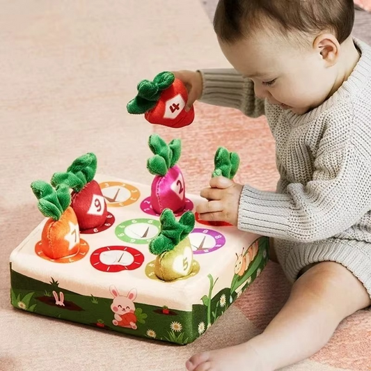 Montessori Karotten Sortier Spiel für Kinder