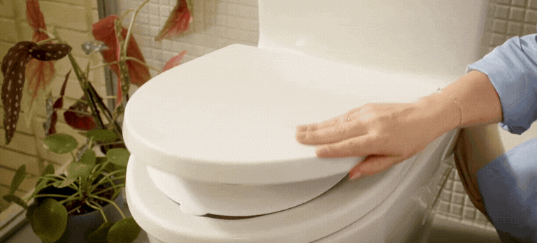 TöpfchenFreund - Klappbarer Toilettensitz für Kinder